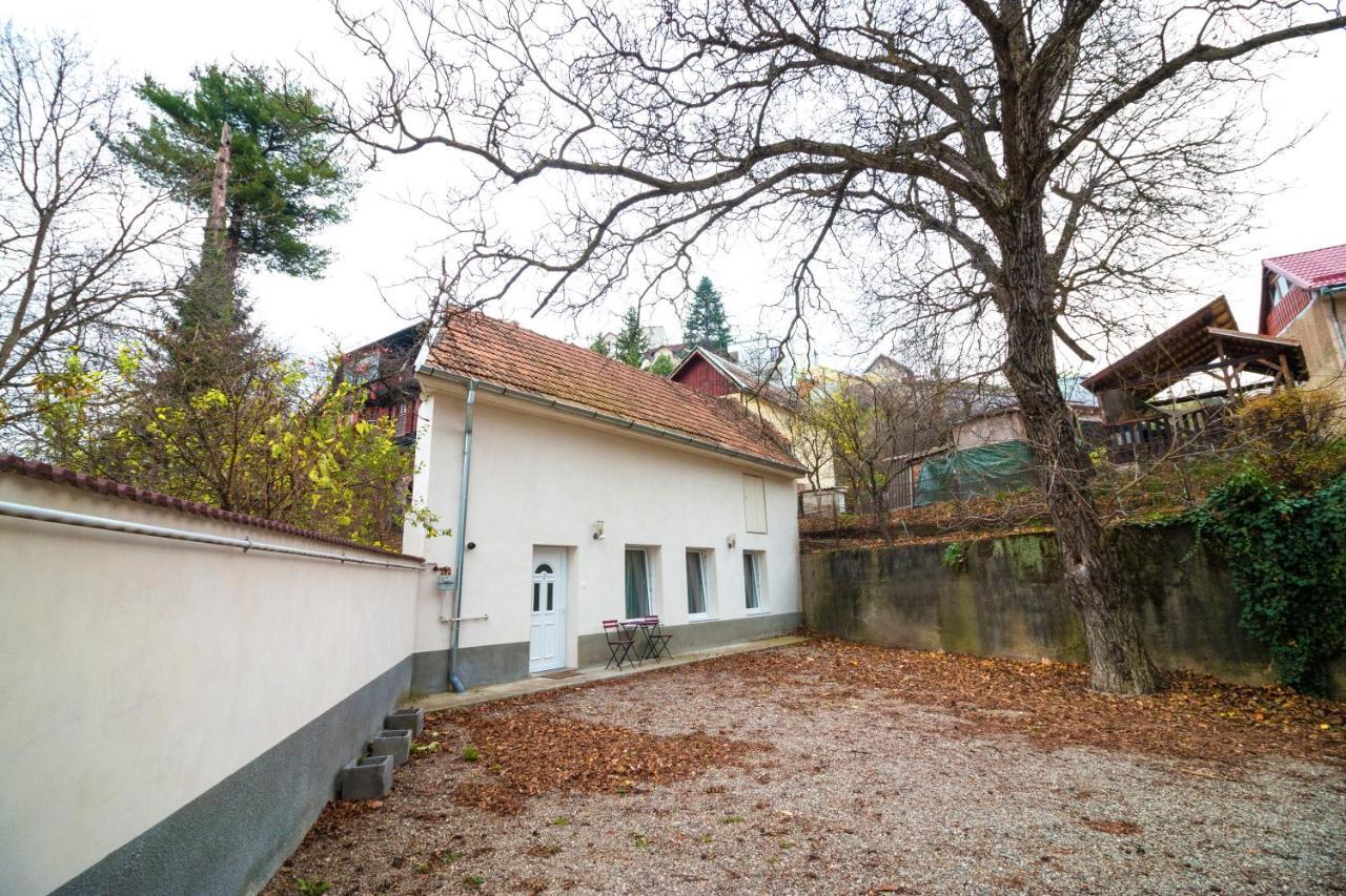 Crisan - Crisan * Brasov